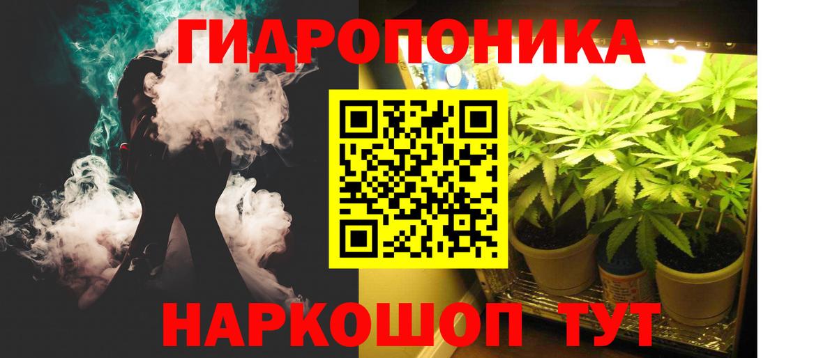 МАРИХУАНА семена  Конопля индика  Вход с VPN  Ялуторовск  Бошки Шишки OG Kush 